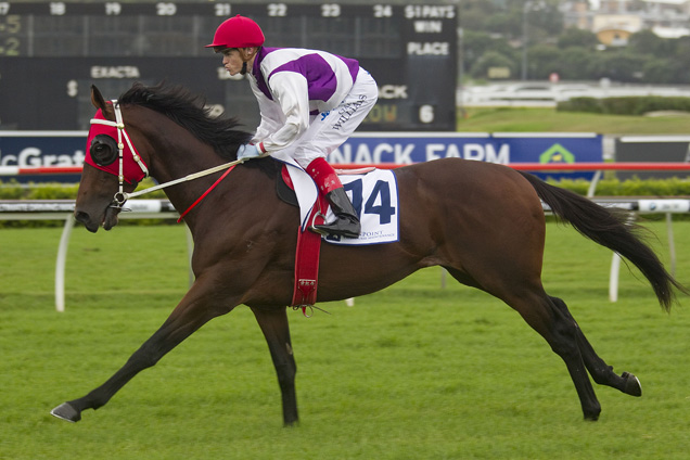 2019 Bonecrusher New Zealand Stakes Race History