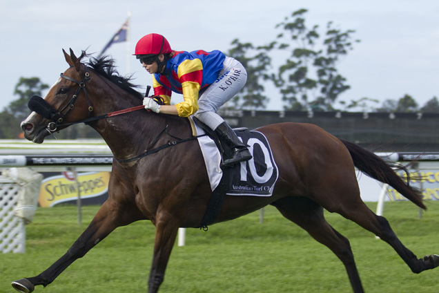 Ofcourseican winning the Liverpool City Cup