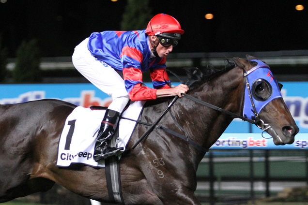 Pierro winning the City Jeep Bill Stutt Stakes