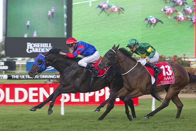 Pierro winning the Aami Golden Slipper