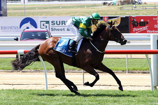 Snitzerland is chasing her first win north of the Tweed this weekend