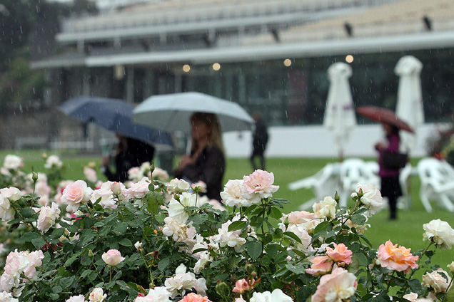 Lots Of Rain Around Doomben this Saturday