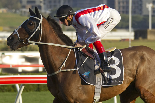 Beaten Up will not run in the Melbourne Cup to instead target the Queen's Cup.