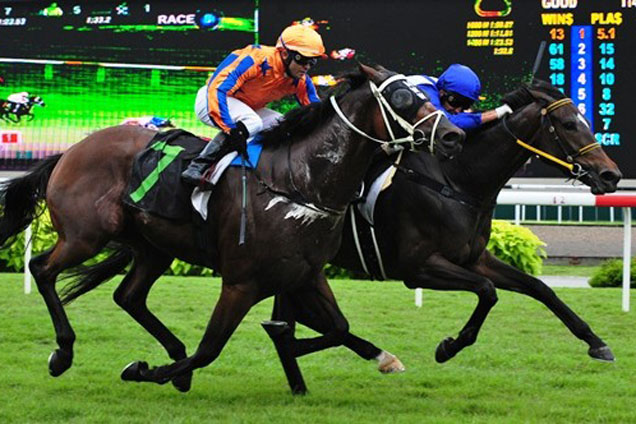 Bendicion (inside) and Irish Rebel fight out the finish to Race 8 on Sunday