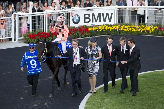 Black Caviar parading on 13 Apr, 2013, after winning T.J. Smith Stakes