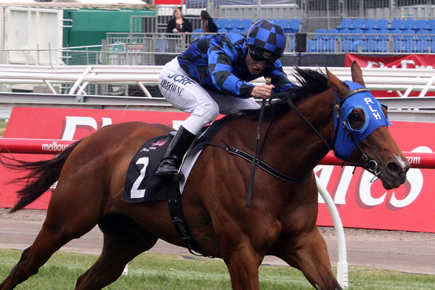 Buffering is chasing a home-state Group 1 in the Doomben 10,000