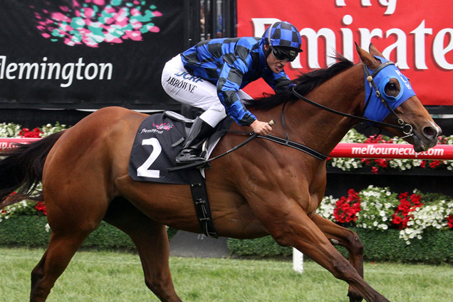 Buffering looks poised to land a home-state Group 1 win in Saturday's BTC Cup