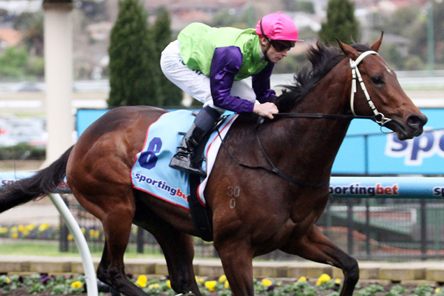 Cauthen winning the Essendon Nisson McKenzie Stks