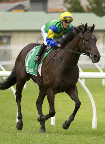 Cape Kidnappers can take the George Moore Stks