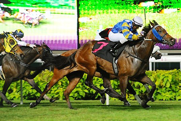 Cavallo gets the better of Davide in the closing stages of Race 7 on Friday night.