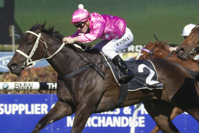 Champagne Cath can rise to the occasion at Randwick