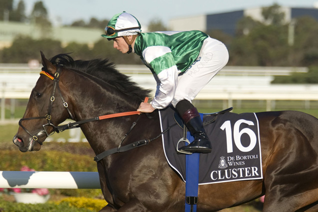 Cluster looks to take the next step