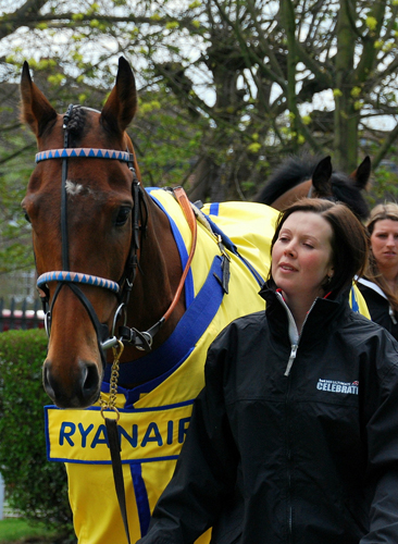 Cue Card