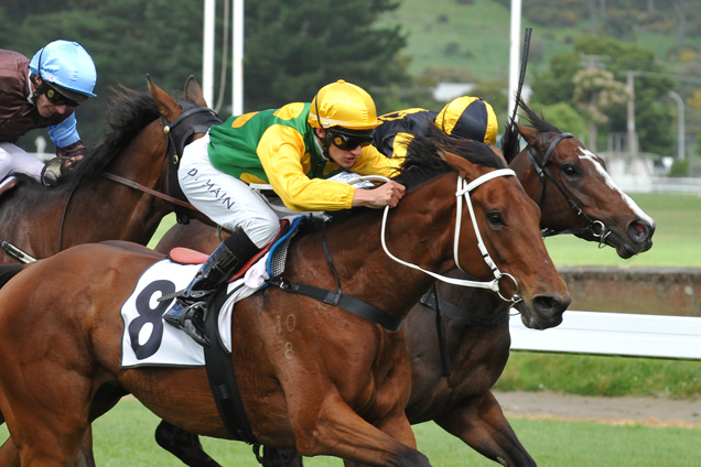 Danza Lad winning the Golden Homes Thompson Hcp