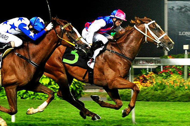 Don Platense (Manoel Nunes) at his only Kranji victory last October.