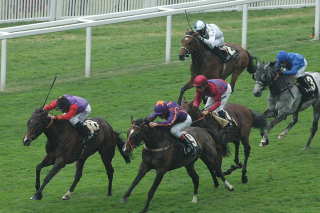 Estimate winning the Gold Cup (British Champions Series) (Group 1)