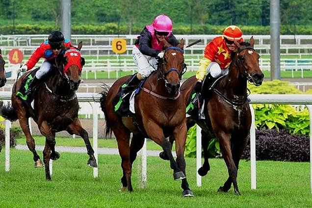 Emperor Max set for another success