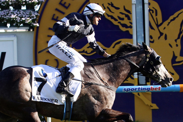 Fawkner