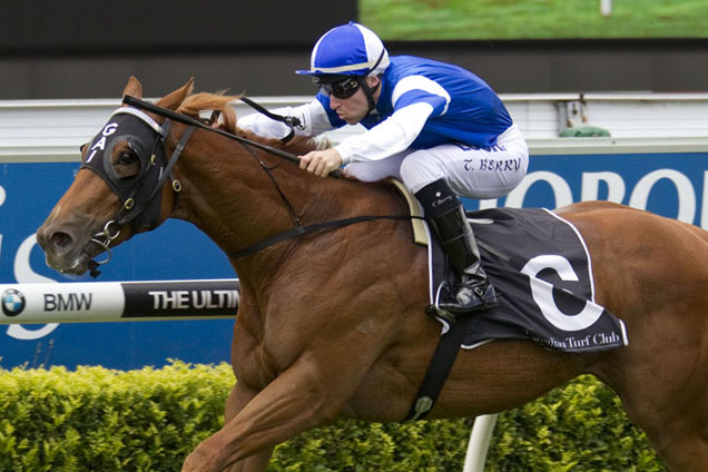 Frespanol drew the inside stall in Saturday's Villiers Stakes at Randwick.