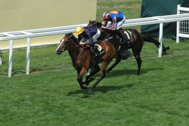 Hillstar winning the King Edward VII Stakes (Group 2)