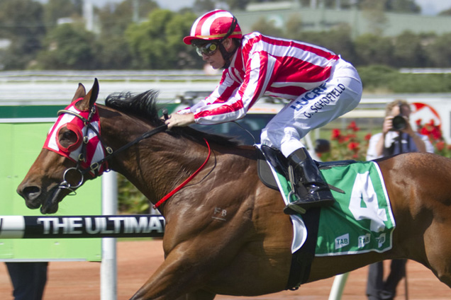 Hosting wins at Rosehill