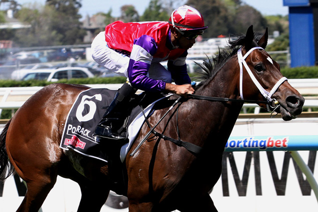 Hucklebuck back in Melbourne heading to the Guineas