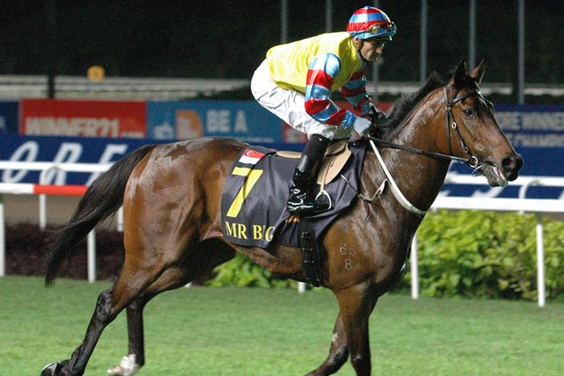 Mr Big will be one of trainer Michael Freedman's two contenders in Sunday's EW Barker Trophy.