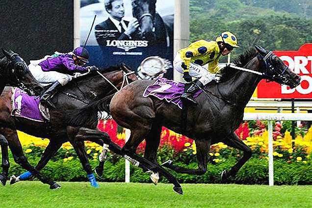 Martin is one of three runners to be saddled by trainer Laurie Laxon for Sunday's Singapore Gold Cup.