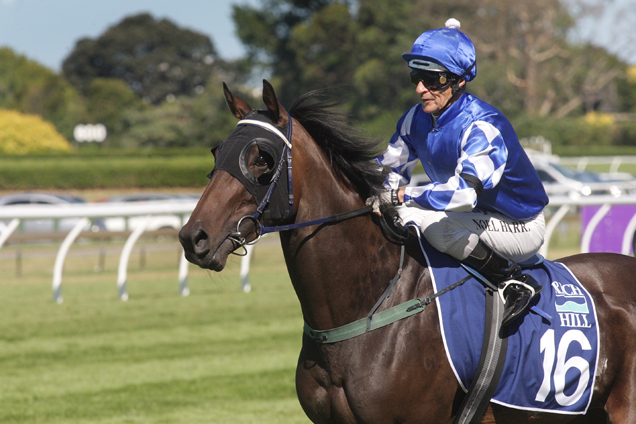 Miss Pelear after winning the Rich Hill Mile.