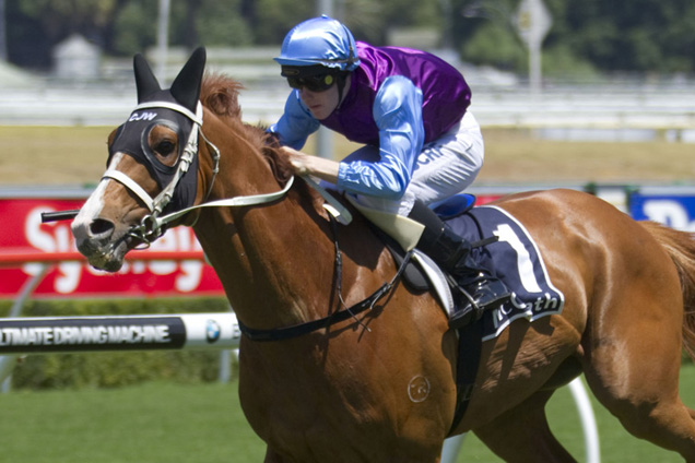 Mulaqen has a nice hope at Moonee Valley