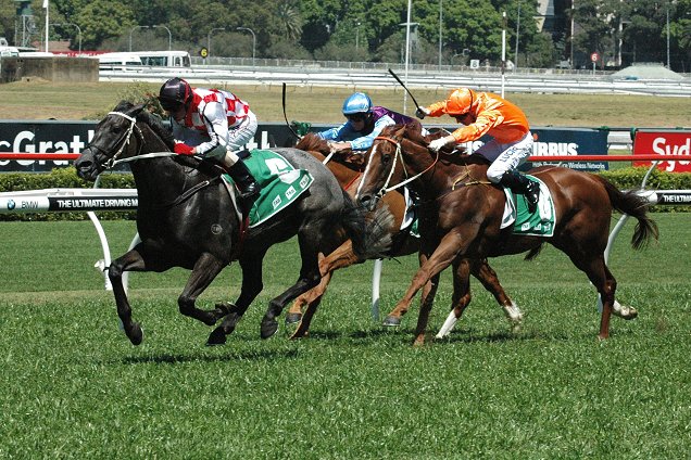 Multilateral wins the first at Randwick