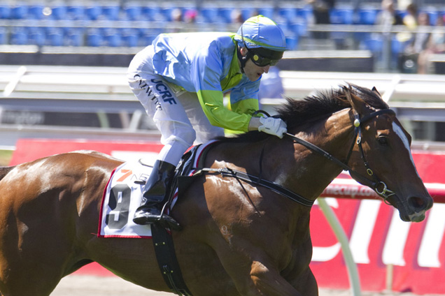 Oakleigh Girl winning at Flemington on Cup day