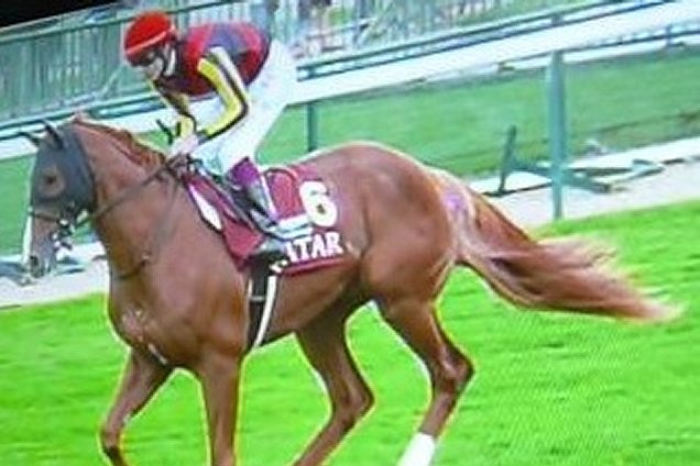 Can This years Japanese runners better Orfevre in the Arc