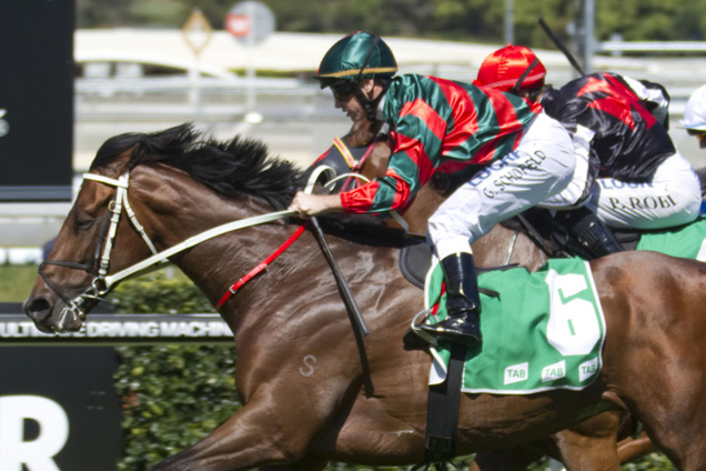 Photon Willie wins in Sydney