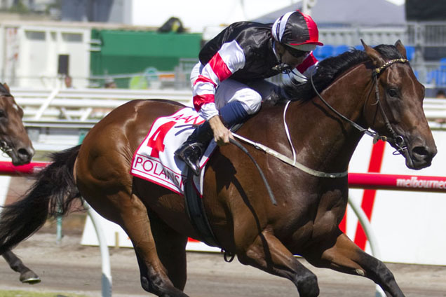 Robbie Laing won the Victoria Derby with Polanski