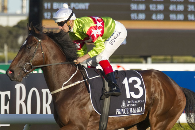 Prince Harada runs as one of the favourites in the Caulfield Guineas