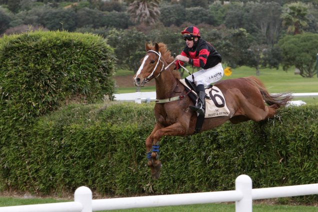 Jumping Season Kicks Off At Oakbank This Saturday