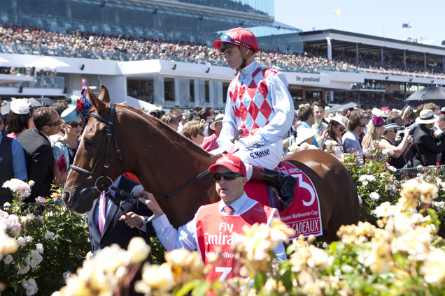 Red Cadeaux at Flemington