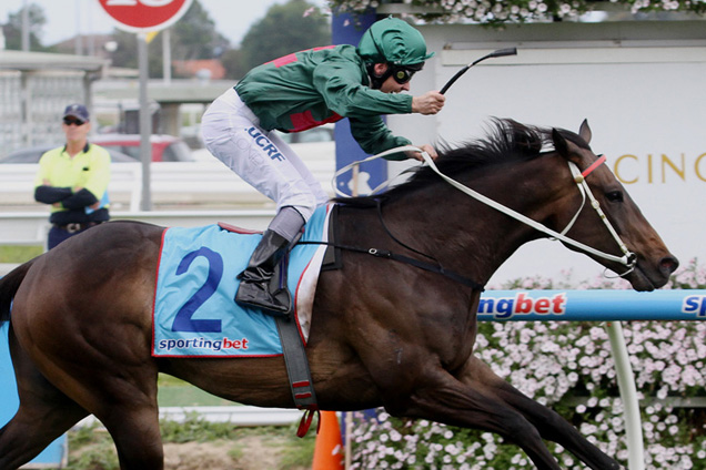 Sertorius won his race at Caulfield