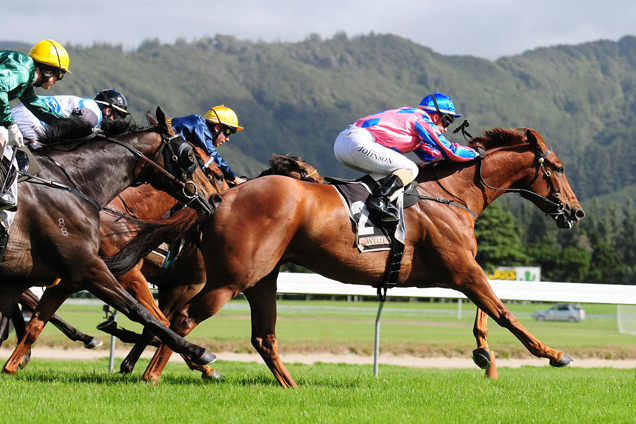 Shuka winning the Rydges Captain Cook Stakes