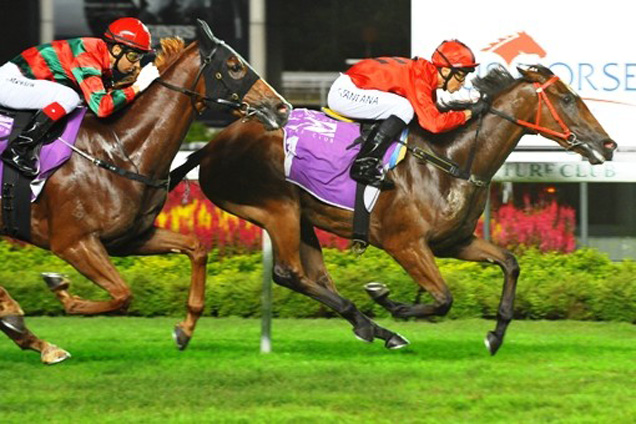 Stepitup Wins The Singapore Guineas