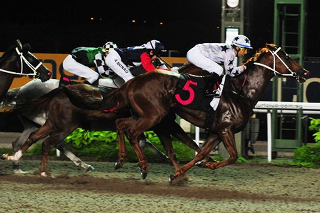 Superb Success lands his third straight success and gives Vagner Leal a winning double on Friday night.