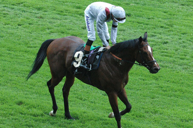 Toronado also ran second on this day in 2013