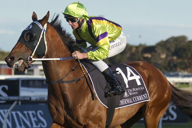 Thermal Current might continue a good week for Peter Moody at Ballarat