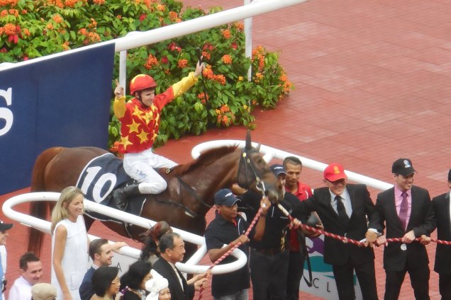 Tropaios returning to scale after the Gold Cup