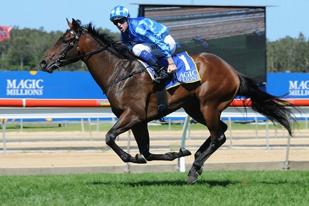 Unencumbered wins the 2013 Wyong Magic Millions