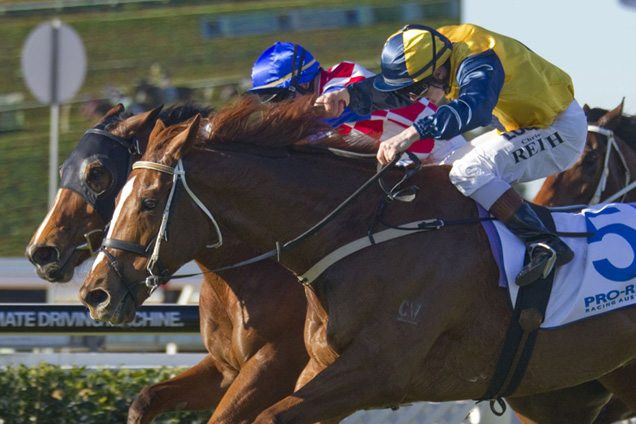 Veyron caused an upset at Warwick Farm