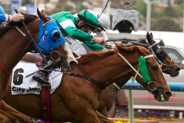 Vibrant Rouge winning the City Jeep Hcp