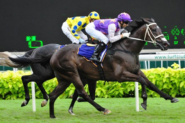 Champion 3YO War Affair Set To Line Up On Sunday