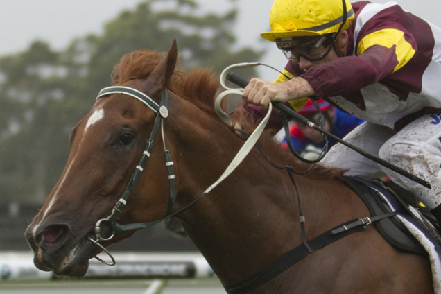 Zin Zan Eddie scored his first stakes victory in taking out the Carrington Stakes at Randwick on Saturday.